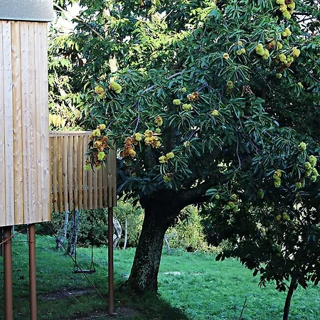 Aloia Nature, Forestal شقة