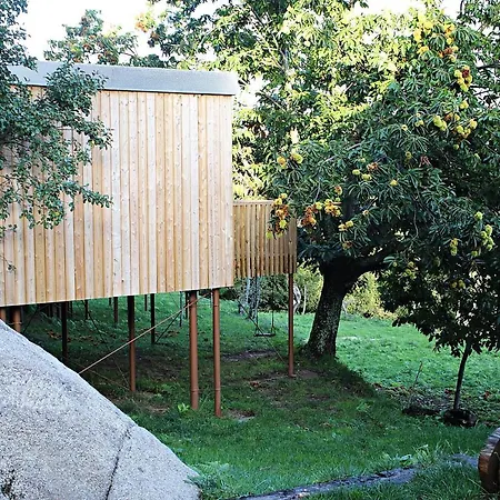 Aloia Nature, Forestal شقة