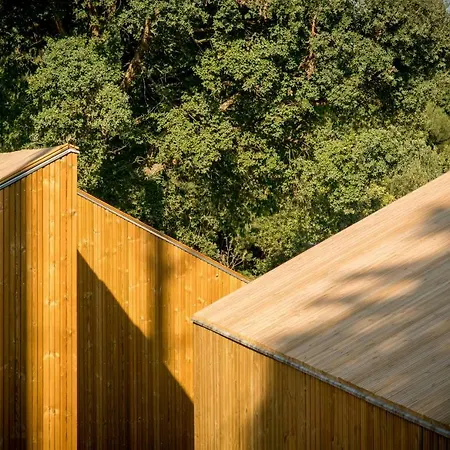 Aloia Nature, Forestal * توي